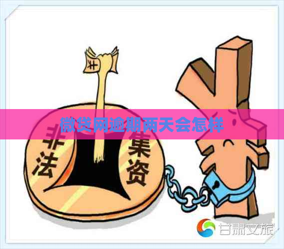 微贷网逾期两天会怎样