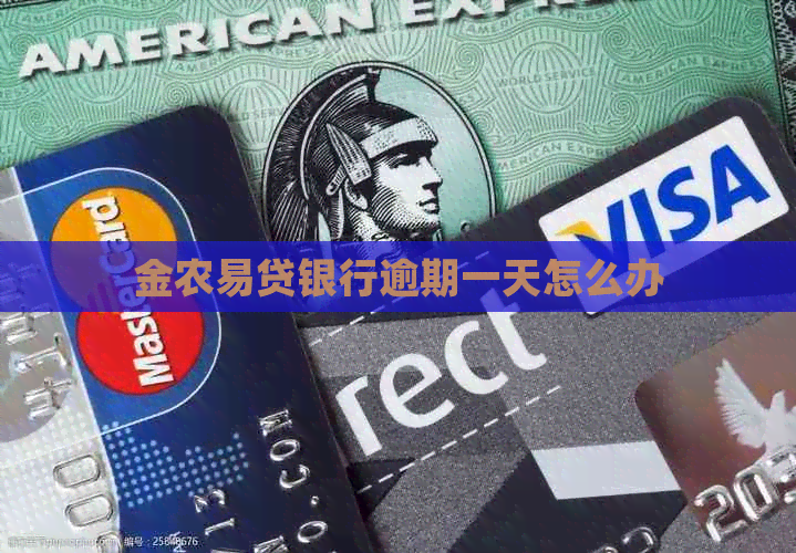 金农易贷银行逾期一天怎么办