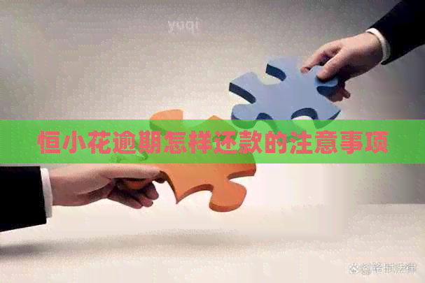 恒小花逾期怎样还款的注意事项