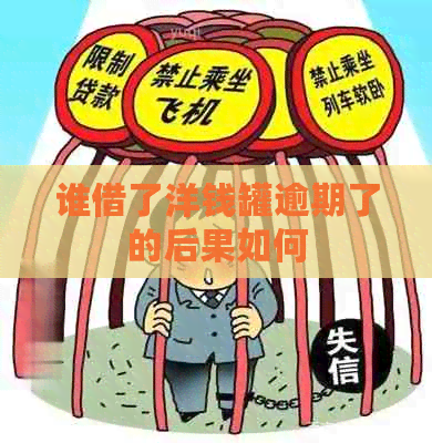 谁借了洋钱罐逾期了的后果如何