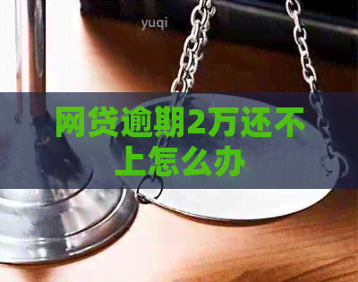 网贷逾期2万还不上怎么办