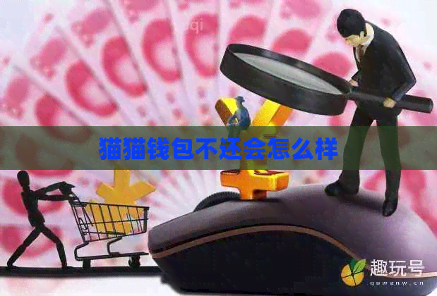 猫猫钱包不还会怎么样