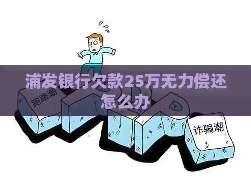 浦发银行欠款25万无力偿还怎么办
