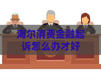 海尔消费金融起诉怎么办才好