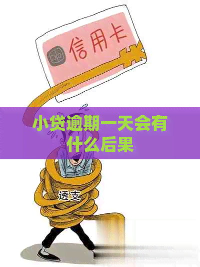 小贷逾期一天会有什么后果