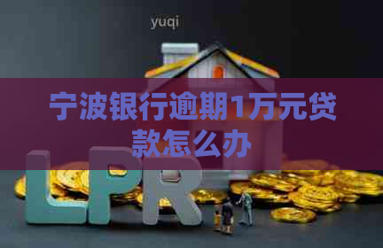 宁波银行逾期1万元贷款怎么办