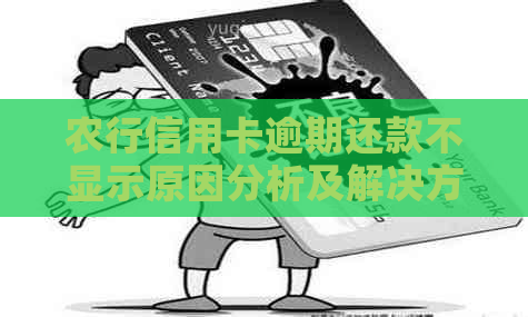 农行信用卡逾期还款不显示原因分析及解决方法
