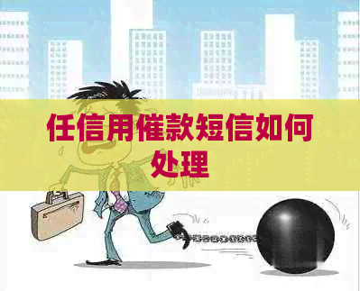 任信用催款短信如何处理