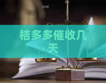 桔多多几天