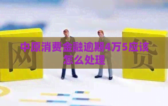 中原消费金融逾期4万5应该怎么处理