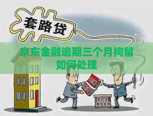 京东金融逾期三个月拘留如何处理