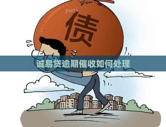 诚易贷逾期如何处理