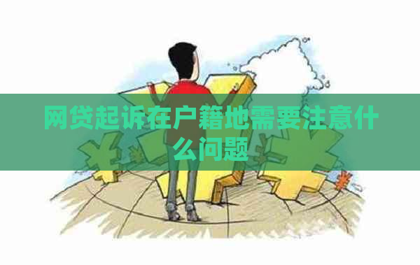 网贷起诉在户籍地需要注意什么问题