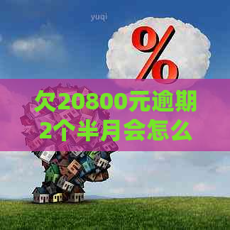 欠20800元逾期2个半月会怎么处理
