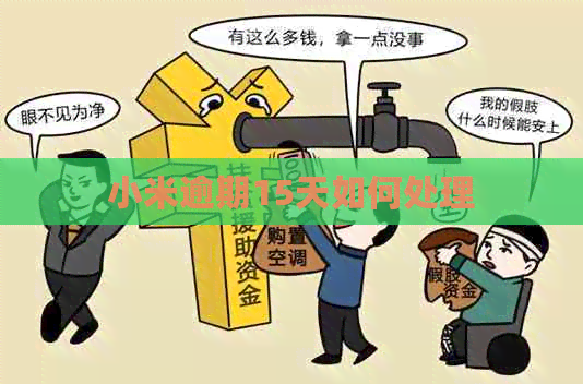 小米逾期15天如何处理
