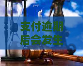 支付逾期后会发生什么情况