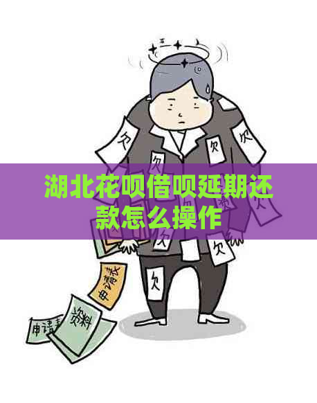 湖北白条信用卡延期还款怎么操作