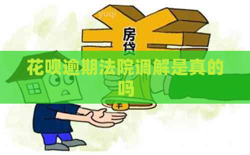 白条逾期法院调解是真的吗