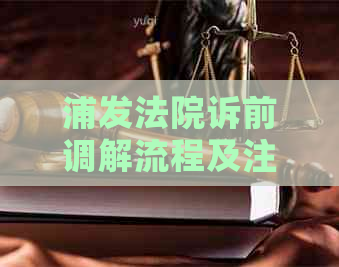 浦发法院诉前调解流程及注意事项