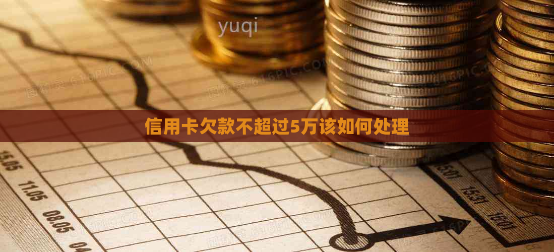 信用卡欠款不超过5万该如何处理