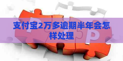 支付宝2万多逾期半年会怎样处理