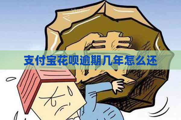 支付宝花呗逾期几年怎么还
