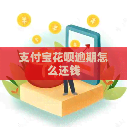 信用卡白条逾期怎么还钱