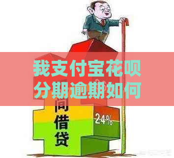 我支付宝花呗分期逾期如何处理