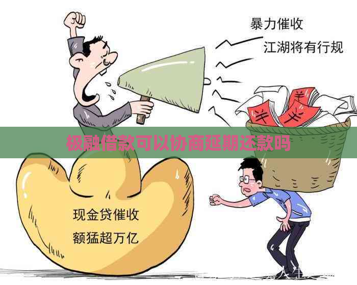 极融借款可以协商延期还款吗