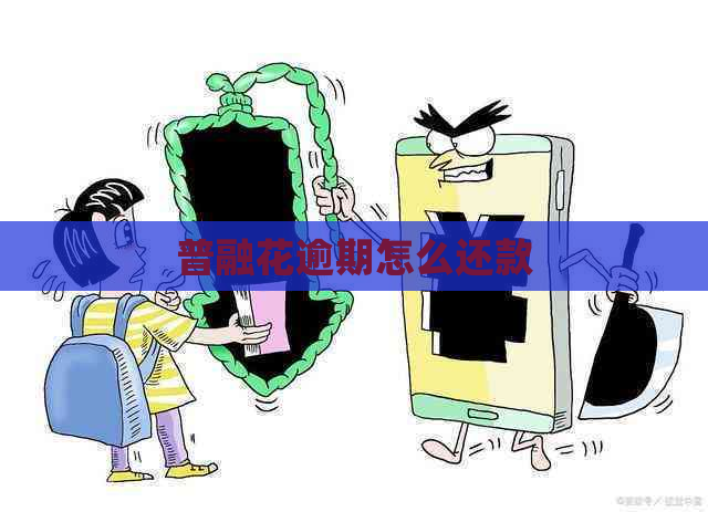 普融花逾期怎么还款