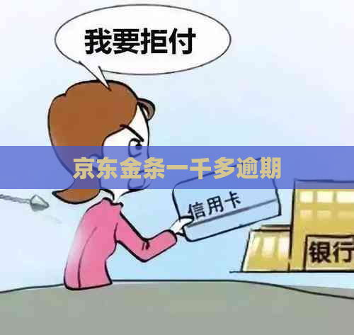 京东金条一千多逾期