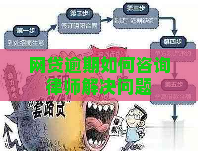 网贷逾期如何咨询律师解决问题