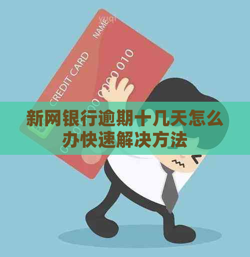 新网银行逾期十几天怎么办快速解决方法