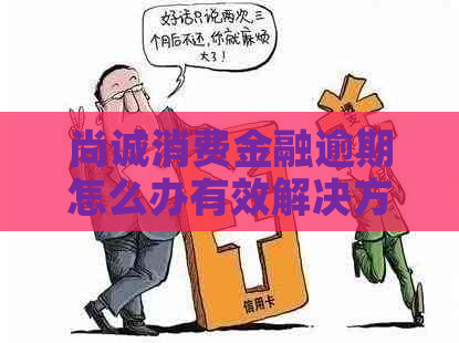 尚诚消费金融逾期怎么办有效解决方法