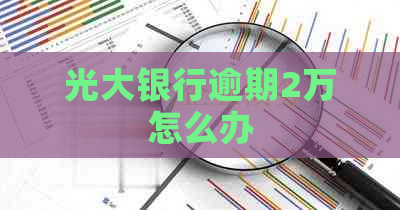 光大银行逾期2万怎么办