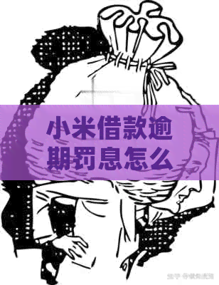 小米借款逾期罚息怎么计算