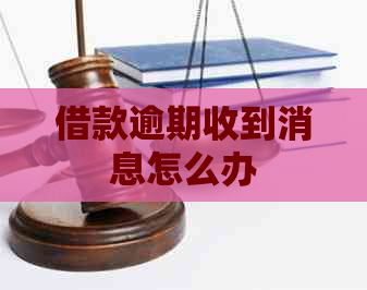 借款逾期收到消息怎么办