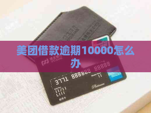 美团借款逾期10000怎么办