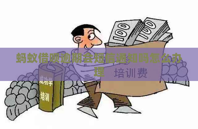 蚂蚁借呗逾期会短信通知吗怎么办理
