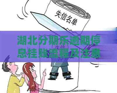 湖北逾期停息挂账流程及注意事项
