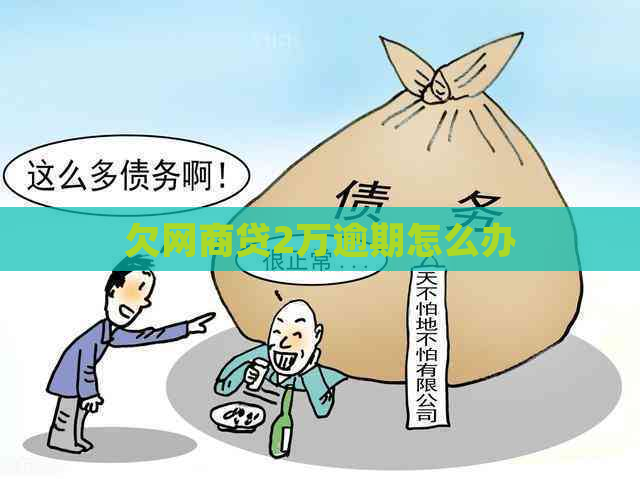 欠网商贷2万逾期怎么办