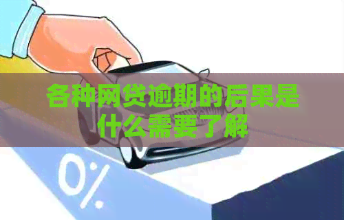 各种网贷逾期的后果是什么需要了解