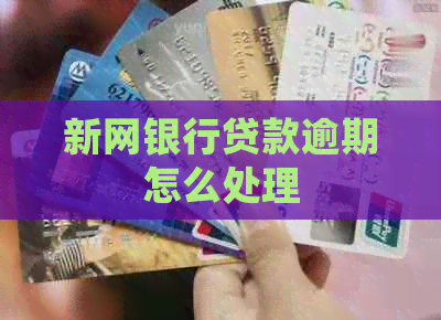 新网银行贷款逾期怎么处理