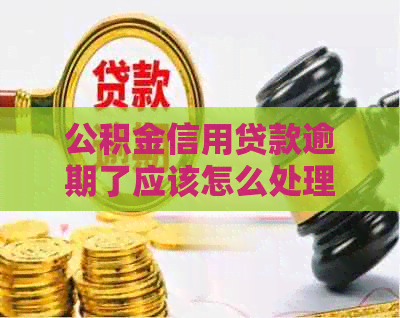 公积金信用贷款逾期了应该怎么处理