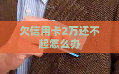 欠信用卡2万还不起怎么办