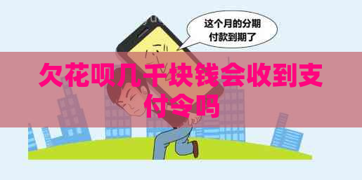 欠白条几千块钱会收到支付令吗