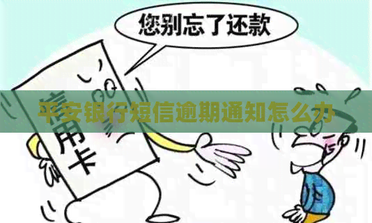 平安银行短信逾期通知怎么办