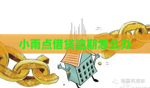 小雨点借贷逾期怎么办