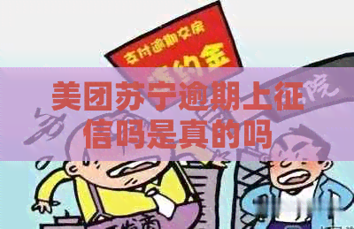美团苏宁逾期上吗是真的吗