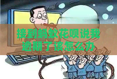 接到蚂蚁白条说我逾期了该怎么办